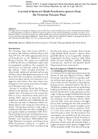 A Record of Spencer's Skink Pseudemoia Spenceri from The