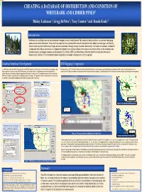 CREATING a DATABASE of DISTRIBUTION and CONDITION of WHITEBARK and LIMBER PINES4 Blakey Lockman 1, Gregg Denitto 1, Tony Courter 2 and Ronda Koski 3