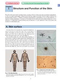 1 Structure and Function of the Skin