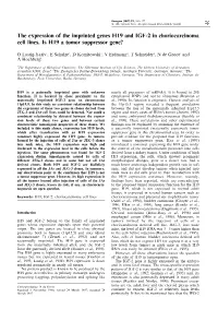 The Expression of the Imprinted Genes H19 and IGF-2 in Choriocarcinoma Cell Lines