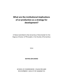 What Are the Institutional Implications of Co-Production As a Strategy for Development?