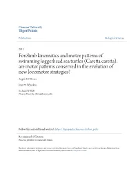 Caretta Caretta): Are Motor Patterns Conserved in the Evolution of New Locomotor Strategies? Angela R.V