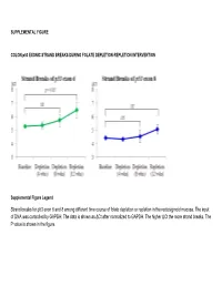 Strand Breaks for P53 Exon 6 and 8 Among Different Time Course of Folate Depletion Or Repletion in the Rectosigmoid Mucosa