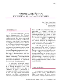 Texto Completo