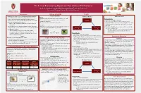 The Lexical Restructuring Hypothesis: Two Claims of PA Evaluated Michelle E