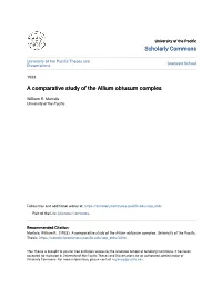 A Comparative Study of the Allium Obtusum Comples