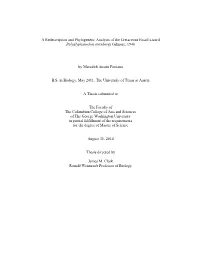 A Redescription and Phylogenetic Analysis of the Cretaceous Fossil Lizard Polyglyphanodon Sternbergi Gilmore, 1940