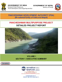 Detailed Project Report: Executive Summary Final