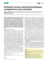 Archaeal Viruses and Bacteriophages: Comparisons and Contrasts