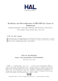 Evolution and Diversification of FRUITFULL Genes in Solanaceae
