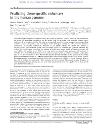 Predicting Tissue-Specific Enhancers in the Human Genome