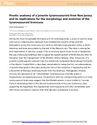 Prootic Anatomy of a Juvenile Tyrannosauroid from New Jersey and Its Implications for the Morphology and Evolution of the Tyrannosauroid Braincase