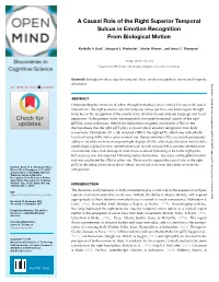 A Causal Role of the Right Superior Temporal Sulcus in Emotion Recognition from Biological Motion