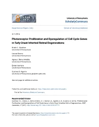 Photoreceptor Proliferation and Dysregulation of Cell Cycle Genes in Early Onset Inherited Retinal Degenerations