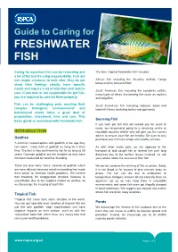 Guide to Caring for FRESHWATER FISH