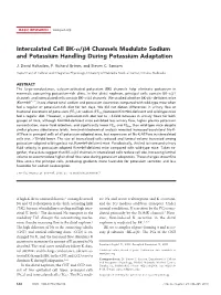 Intercalated Cell BK-/4 Channels Modulate Sodium and Potassium