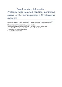 Streptococcus Pyogenes
