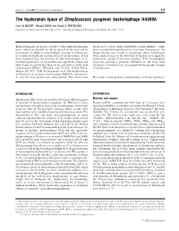 The Hyaluronan Lyase of Streptococcus Pyogenes Bacteriophage H4489A John R