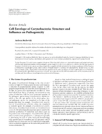 Cell Envelope of Corynebacteria: Structure and Influence on Pathogenicity