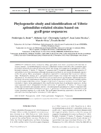 Phylogenetic Study and Identification of Vibrio Splendidus-Related Strains Based on Gyrb Gene Sequences