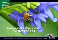 Planting and Creating Habitat Toattract Bees