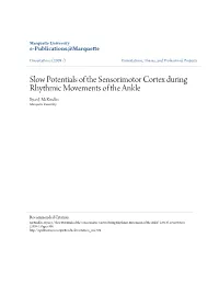 Slow Potentials of the Sensorimotor Cortex During Rhythmic Movements of the Ankle Ryan J