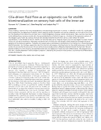 Cilia-Driven Fluid Flow As an Epigenetic Cue for Otolith Biomineralization On