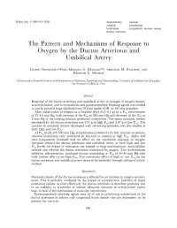 The Pattern and Mechanisms of Response to Oxygen by the Ductus Arteriosus and Umbilical Artery