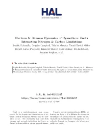 Electron & Biomass Dynamics of Cyanothece Under Interacting