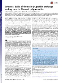 Structural Basis of Thymosin-Β4/Profilin Exchange Leading to Actin Filament Polymerization