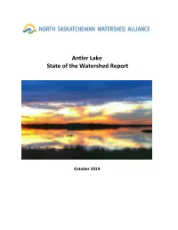 Antler Lake State of the Watershed Report