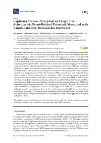 Capturing Human Perceptual and Cognitive Activities Via Event-Related Potentials Measured with Candle-Like Dry Microneedle Electrodes