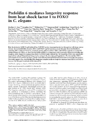 Prefoldin 6 Mediates Longevity Response from Heat Shock Factor 1 to FOXO in C