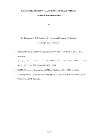 Seismic Reflection Imaging of Mineral Systems;