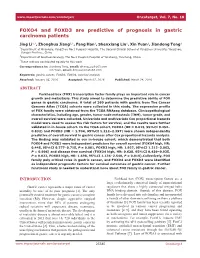 FOXO4 and FOXD3 Are Predictive of Prognosis in Gastric Carcinoma Patients