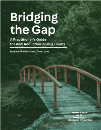 Bridging the Gap: a Practitioner's Guide to Harm Reduction in Drug