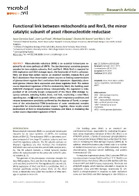 Functional Link Between Mitochondria and Rnr3, the Minor Catalytic Subunit of Yeast Ribonucleotide Reductase
