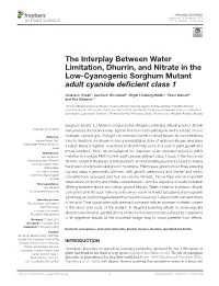 The Interplay Between Water Limitation, Dhurrin, and Nitrate in the Low-Cyanogenic Sorghum Mutant Adult Cyanide Deficient Class 1