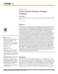 Origin and Diversification of Meprin Proteases