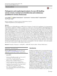 Phylogenetic and Morphological Analysis of a New Cliff-Dwelling