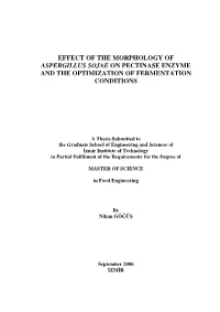 Effect of the Morphology of Aspergillus Sojae on Pectinase Enzyme and the Optimization of Fermentation Conditions