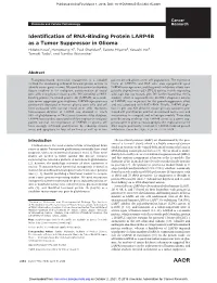 Identification of RNA-Binding Protein LARP4B As a Tumor Suppressor in Glioma