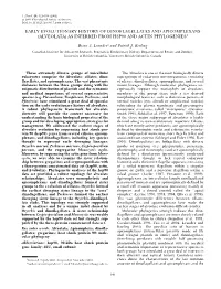 (Alveolata) As Inferred from Hsp90 and Actin Phylogenies1