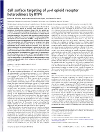 Cell Surface Targeting of ␮-␦ Opioid Receptor Heterodimers by RTP4