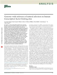 Genome-Wide Inference of Natural Selection on Human Transcription Factor Binding Sites