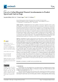 Use of a Collar-Mounted Triaxial Accelerometer to Predict Speed and Gait in Dogs