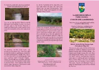 Toshaky Bridge & Alpine Bridge Walks Layout 5