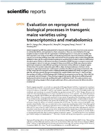 Evaluation on Reprogramed Biological Processes in Transgenic Maize