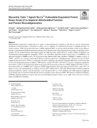 Muscarinic Toxin 7 Signals Via Ca2+/Calmodulin-Dependent Protein Kinase Kinase Β to Augment Mitochondrial Function and Prevent Neurodegeneration