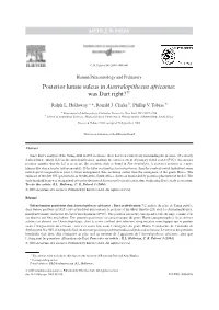 Posterior Lunate Sulcus in Australopithecus Africanus: Was Dart Right?>